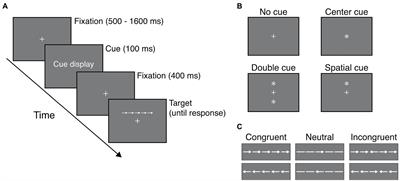 Individual Differences in the Change of Attentional Functions With Brief One-Time Focused Attention and Open Monitoring Meditations